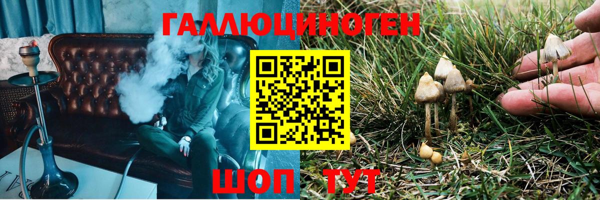 Домодедово  Галлюциногенные грибы мухоморы  Вход с VPN  Псилоцибиновые грибы мухоморы 